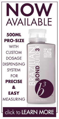 b3 professional product